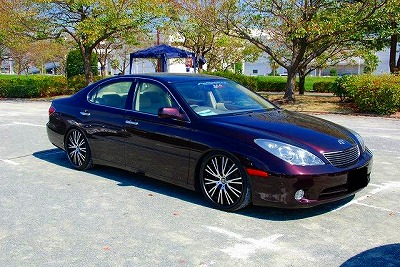 s-s-DSC_0131.jpg
