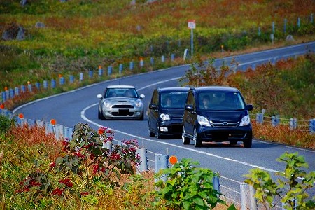s-s-DSC_0259.jpg