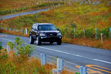s-s-DSC_0288.jpg