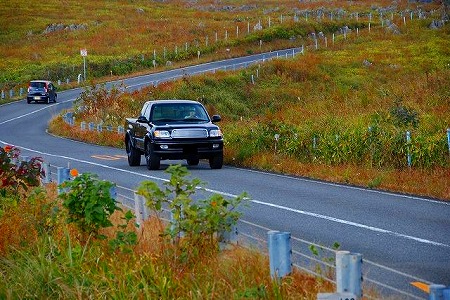 s-s-DSC_0289.jpg